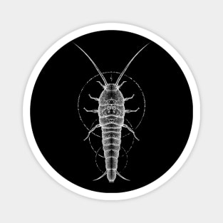 Silverfish Schematic Invert Magnet